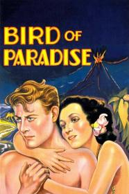 Bird Of Paradise (1932) [1080p] [BluRay] <span style=color:#39a8bb>[YTS]</span>