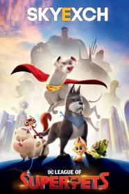 DC League of Super-Pets (2022) Original Hindi Dubbed 1080p HQ S-Print Rip x264 AAC - CineVood