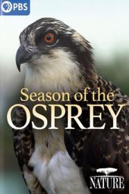 Nature Season Of The Osprey (2021) [1080p] [WEBRip] [5.1] <span style=color:#39a8bb>[YTS]</span>
