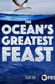 Nature The Oceans Greatest Feast (2022) [1080p] [WEBRip] [5.1] <span style=color:#39a8bb>[YTS]</span>