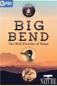 Nature Big Bend The Wild Frontier Of Texas (2021) [720p] [WEBRip] <span style=color:#39a8bb>[YTS]</span>