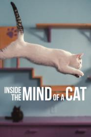 Inside The Mind Of A Cat (2022) [720p] [WEBRip] <span style=color:#39a8bb>[YTS]</span>