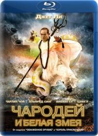 Чародей и Белая змея (2011) BDRemux