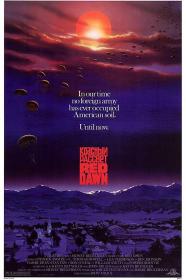 Red Dawn 1984 2160p BluRay x264 8bit SDR DTS-HD MA 5.1<span style=color:#39a8bb>-SWTYBLZ</span>