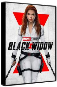 Black Widow 2021 BluRay 1080p DTS AC3 x264-MgB