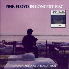 Pink Floyd - In Concert 1987 (8CD) (2022) FLAC