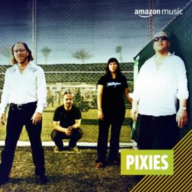 Pixies - Discography [FLAC Songs] [PMEDIA] ⭐️