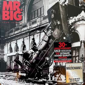 Mr  Big - Lean Into It [30th Anniversary Edition] (1991-2021 Hard Rock) [Flac 24-88 SACD 5 1]