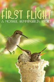 First Flight A Mother Hummingbirds Story (2009) [1080p] [WEBRip] <span style=color:#39a8bb>[YTS]</span>