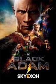 Black Adam (2022) Hindi 720p HQ S-Print Rip x264 AAC - CineVood