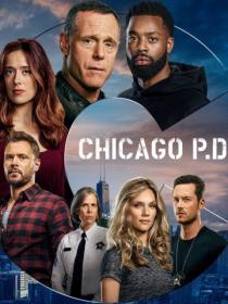 Chicago P D s10  TVShows  2022  WEB-DLRip