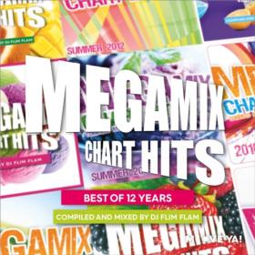 Various Artists - Megamix Chart Hits Best Of 12 Years Compiled and Mixed by DJ Flimflam (2022) Mp3 320kbps [PMEDIA] ⭐️