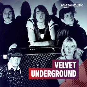 The Velvet Underground - Discography [FLAC Songs] [PMEDIA] ⭐️