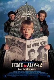 【首发于高清影视之家 】小鬼当家2[简繁英字幕] Home Alone 2 Lost in New York 1992 1080p DSNP WEB-DL H264 DDP5.1<span style=color:#39a8bb>-TAGWEB</span>