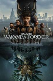 Black Panther Wakanda Forever 2022 720p HDCAM<span style=color:#39a8bb>-C1NEM4[TGx]</span>