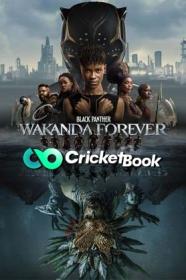 Black Panther Wakanda Forever 2022 Hindi 1080p PDVDRip x264 AAC CineVood