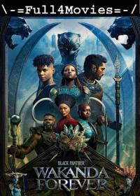 Black Panther Wakanda Forever (2022) 480p ORG Hindi Pre-DVDRip x264 AAC DDP2.0 <span style=color:#39a8bb>By Full4Movies</span>