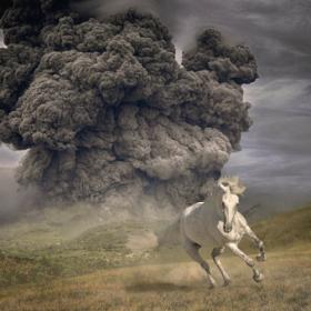 The White Buffalo - 2022 - Year Of The Dark Horse (FLAC)