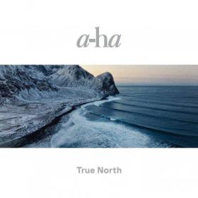 A-ha - True North (2022) (LP) [24Bit-192kHz] FLAC [PMEDIA] ⭐️