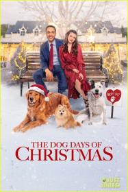 The Dog Days of Christmas 2022 720p WEB h264<span style=color:#39a8bb>-BAE</span>
