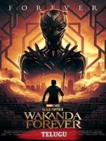 Black Panther Wakanda Forever (2022) 1080p Telugu DVDScr x264 AAC 2.4GB