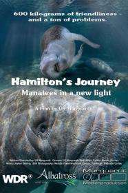 Hamiltons Journey Manatees In A New Light (2014) [1080p] [WEBRip] <span style=color:#39a8bb>[YTS]</span>
