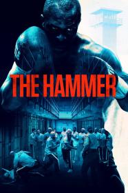 The Hammer (2017) [1080p] [WEBRip] [5.1] <span style=color:#39a8bb>[YTS]</span>