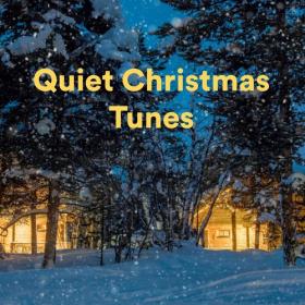 Various Artists - Quiet Christmas Tunes (2022) Mp3 320kbps [PMEDIA] ⭐️