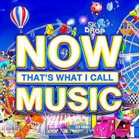 VA - Now That's What I Call Music! 1-113 (1983-2022) (Complete 2CD Collection) (320) [DJ]