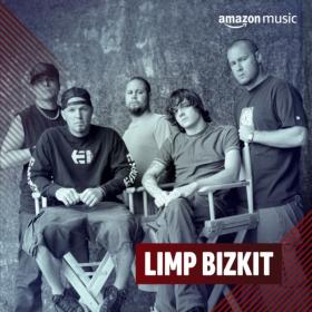 Limp Bizkit - Discography [FLAC Songs] [PMEDIA] ⭐️