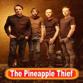 The Pineapple Thief - Discography [FLAC Songs] [PMEDIA] ⭐️