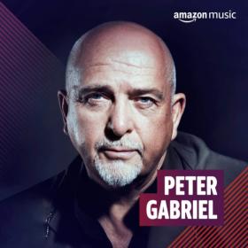 Peter Gabriel - Discography [FLAC Songs] [PMEDIA] ⭐️