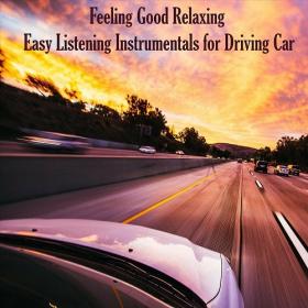 VA - Feeling Good Relaxing_ Easy Listening Instrumentals for Driving Car (2022) MP3