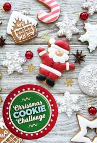 Christmas Cookie Challenge S01 720p HDTV x264<span style=color:#39a8bb>-MIXED[rartv]</span>