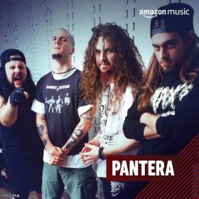 Pantera - Discography [FLAC Songs] [PMEDIA] ⭐️