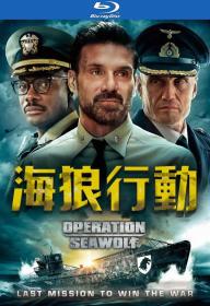 Operation Seawolf 2022 BluRay 1080p DTS x264