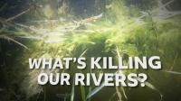 BBC Whats Killing Our Rivers 1080p HDTV x265 AAC