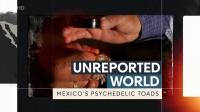 Ch4 Unreported World 2022 Mexicos Psychedelic Toads 1080p HDTV x265 AAC