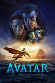 Avatar The Way of Water 2022 1080p HDCAM<span style=color:#39a8bb>-C1NEM4[TGx]</span>