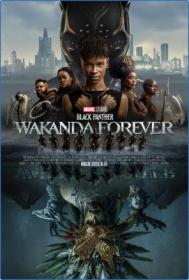 Black Panther Wakanda Forever 2022 1080p HDTS 10bit h264 AAC 5.1-RKRips