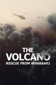 The Volcano Rescue From Whakaari (2022) [1080p] [WEBRip] [5.1] <span style=color:#39a8bb>[YTS]</span>