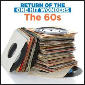 Return Of The One Hit Wonders_ The 60's (2022)