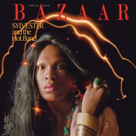 Sylvester And The Hot Band - Bazaar (1973 Funk) [Flac 16-44]
