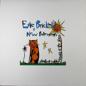 Edie Brickell & New Bohemians - Shooting Rubberbands At The Stars PBTHAL (1988 Alternative) [Flac 24-96 LP]