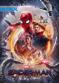 Spider-Man: No Way Home 2021 IMAX 1080p 10bit DS4K BCORE WEBRip [Org DD 5.1-Hindi+DDP7 1-English] ESub HEVC-The PunisheR