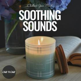 VA - Soothing Sounds Chillout Your Mind (2023) [FLAC]