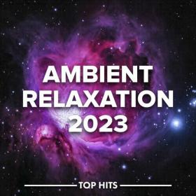 Various Artists - Ambient Relaxation 2023 (2023) Mp3 320kbps [PMEDIA] ⭐️