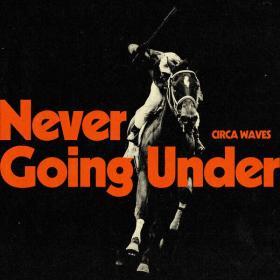 Circa Waves - Never Going Under (2023 Alternativa e indie) [Flac 24-48]