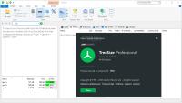 TreeSize Professional v8.6.0.1760 (x64) Multilingual Portable