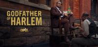 Godfather of Harlem SEASON 02 S02 COMPLETE 1080p 10bit WEBRip 6CH x265 HEVC<span style=color:#39a8bb>-PSA</span>